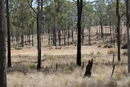 Third view of Homely rural property listing, Address available on request