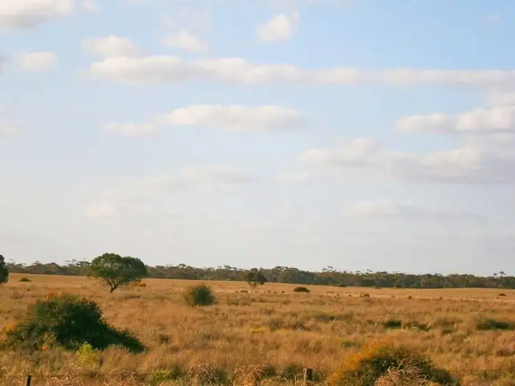 Fourth view of Homely rural property listing, Lot 3 Naidia Road, Swan Reach SA 5354