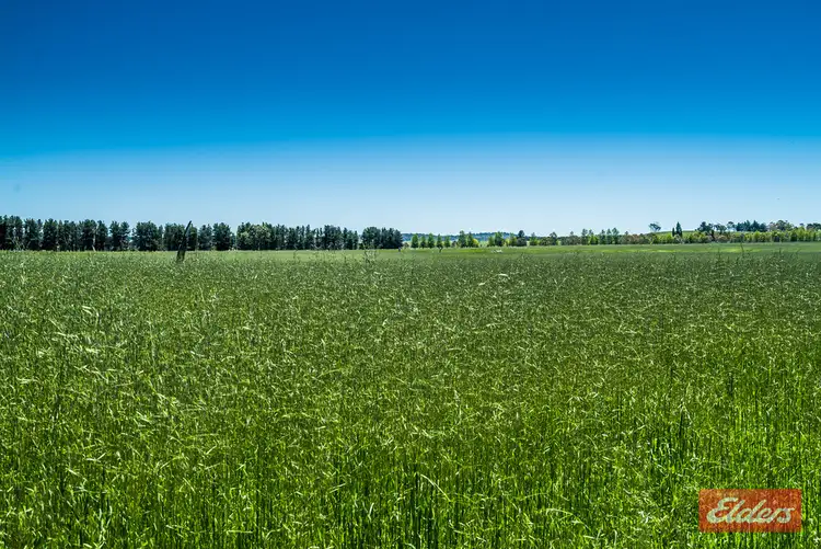 Fifth view of Homely rural property listing, Address available on request