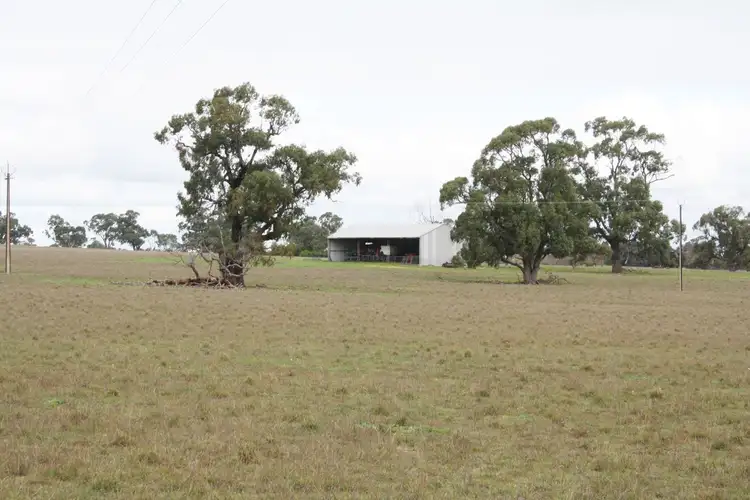 Sixth view of Homely house listing, 659 Clarkson's Road, Naracoorte SA 5271