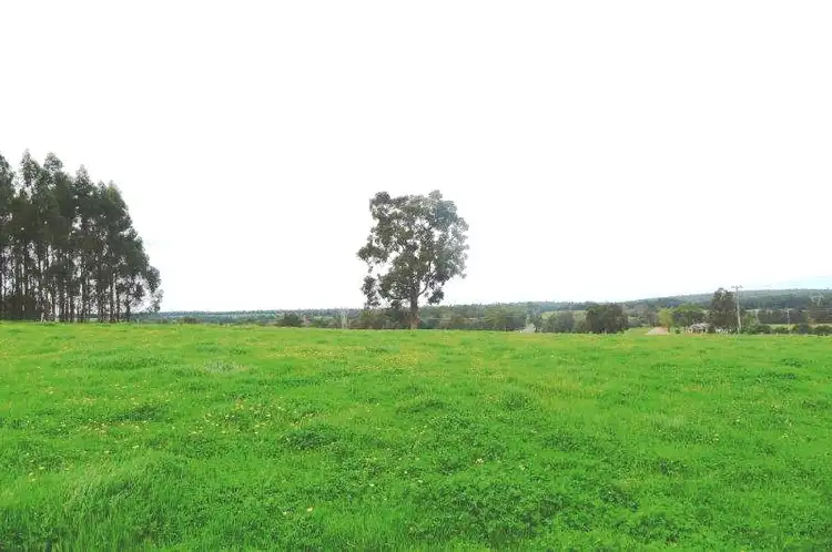 Sixth view of Homely rural property listing, Lot 500 Coalfields Highway, Allanson WA 6225