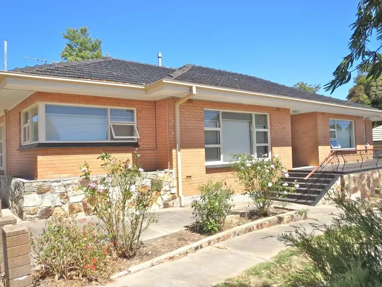 99 Gordon Street, Naracoorte SA 5271