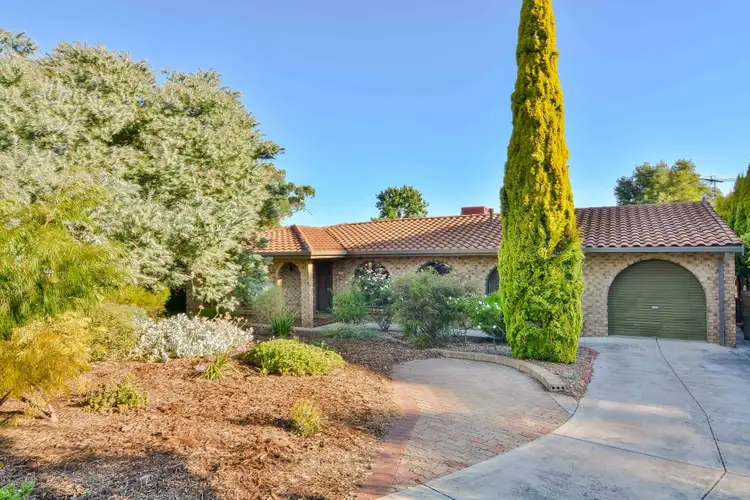11 Proctor Street, Flagstaff Hill SA 5159