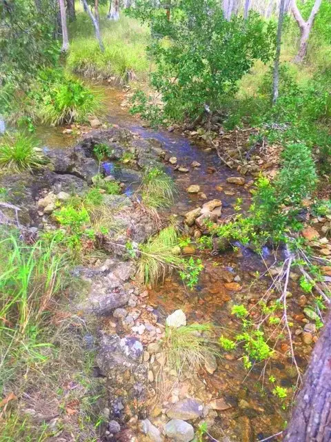 Second view of Homely land listing, 213 Davies Road, Captain Creek QLD 4677