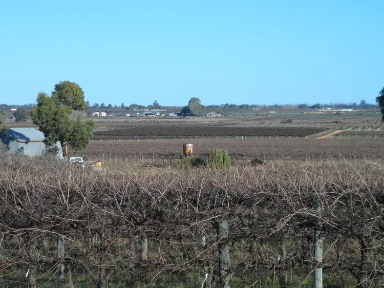 Main view of Homely rural property listing, Anderson & Derrick Roads, Loxton North SA 5333