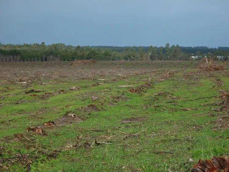 DP 203466 Plantagenet, Mount Barker WA 6324