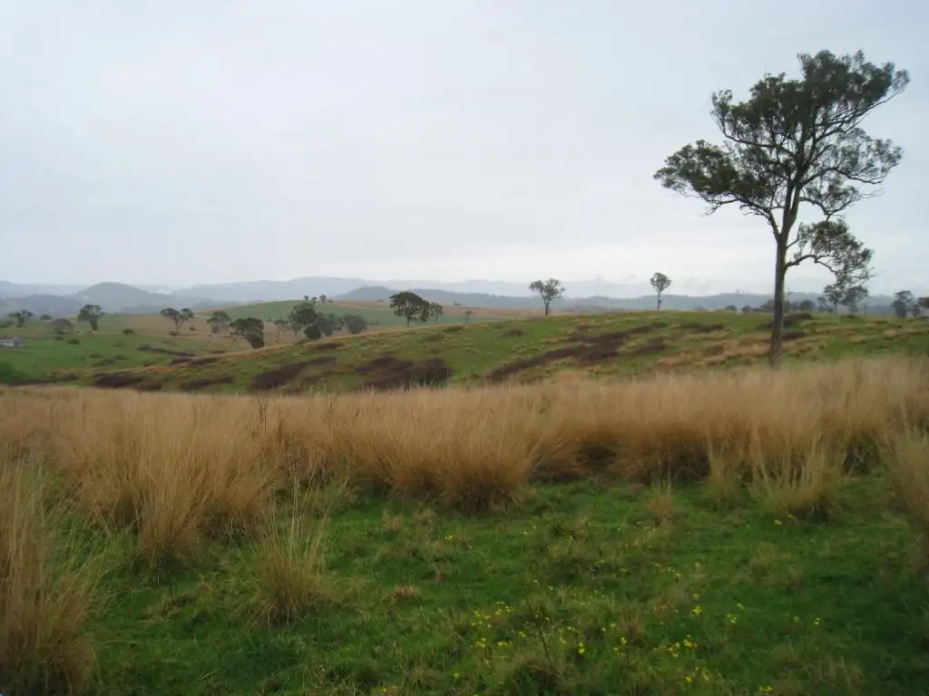 Main view of Homely land listing, Lot 422 Towridgee Lane, Candelo NSW 2550