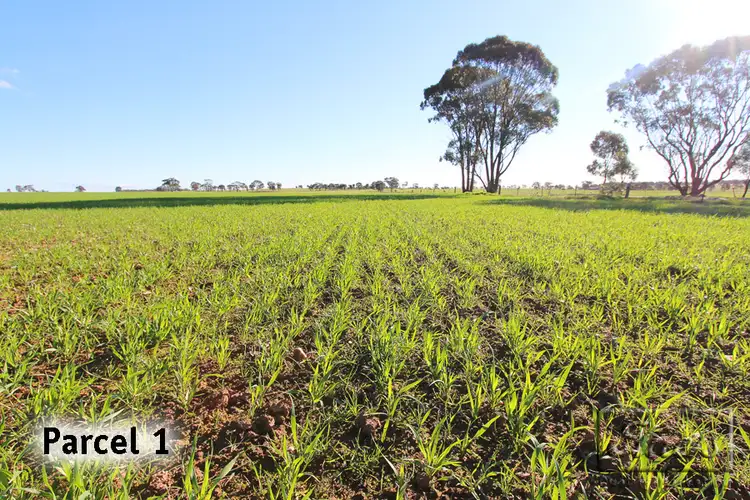 Fourth view of Homely rural property listing, 295 Engi Road, Neilborough VIC 3570