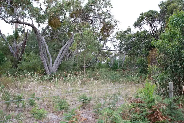 Main view of Homely land listing, Lot 3 Mason Road, Naracoorte SA 5271