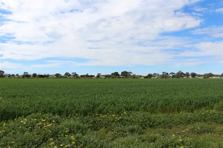 Seventh view of Homely land listing, Lot 21 Cannawigara Road, Bordertown SA 5268