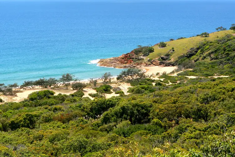 147 Bloodwood South
