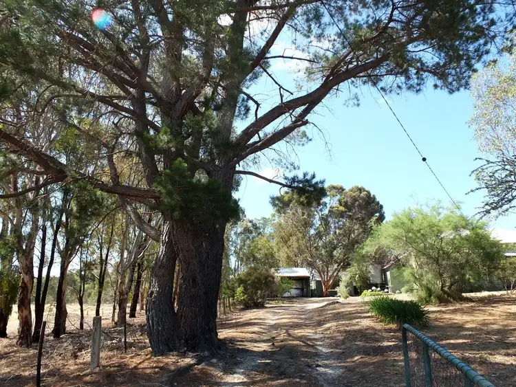 Fifth view of Homely house listing, 20 School Street, Amphitheatre VIC 3468