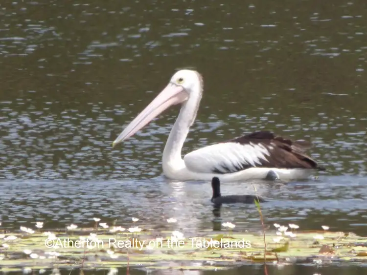 Third view of Homely rural property listing, Address available on request