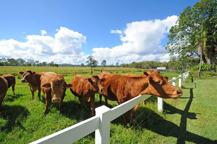 Main view of Homely rural property listing, 1 McCabe Road, Woodford QLD 4514