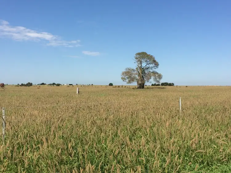 Main view of Homely rural property listing, 487 Hills Access Road, Dingo QLD 4702