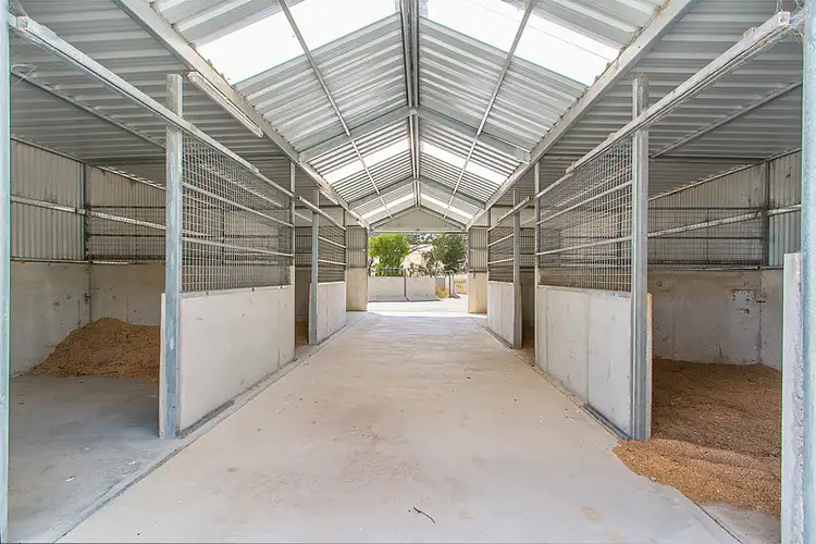 Fifth view of Homely rural property listing, Lot 149 Crennis Mines Road, Angaston SA 5353