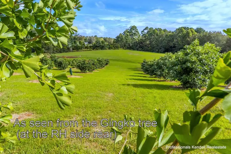 Fifth view of Homely land listing, 311 Long Road, Tamborine Mountain QLD 4272