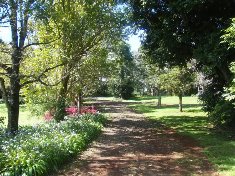 Third view of Homely rural property listing, # 47 Emerson Road, Rosebank NSW 2480