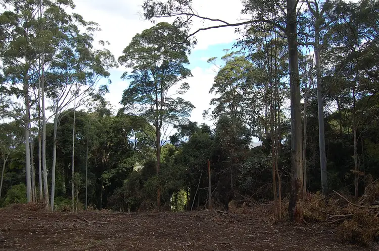 Fourth view of Homely rural property listing, Lot 101 Duck Creek Road, Old Bonalbo NSW 2469