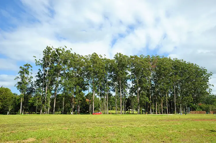 Sixth view of Homely land listing, Lot 92 Palmerston Crescent, Beerwah QLD 4519
