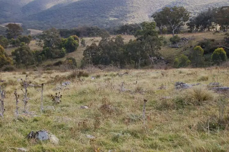 Fourth view of Homely rural property listing, 127 and 128 Limekilns Road, Bathurst NSW 2795