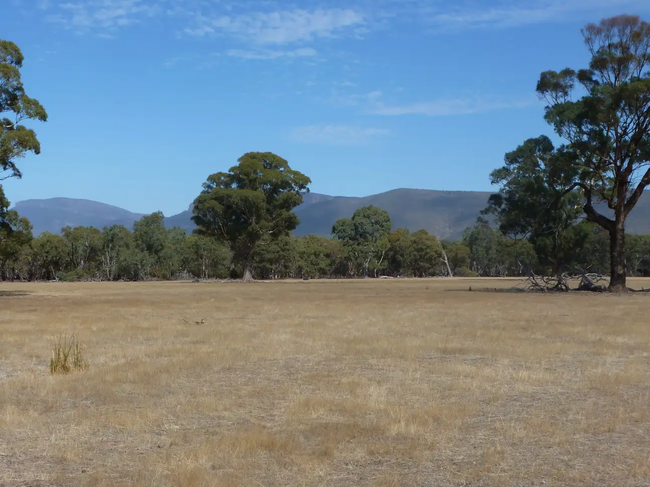 Main view of Homely rural property listing, 4879 Ararat-Halls Gap Rd, Pomonal VIC 3381