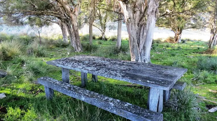Main view of Homely rural property listing, Pt Myrtlevale Upper Rouchel Rd, Aberdeen NSW 2336