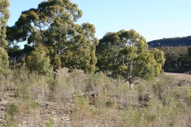 Fourth view of Homely rural property listing, Lot 1, 842 Tiyces Lane, Goulburn NSW 2580