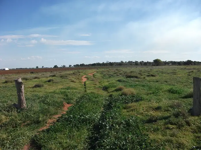 Part Farm 2082 Leeton Road, Murrami NSW 2705