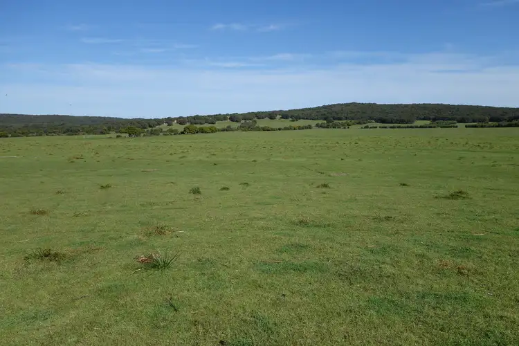 Seventh view of Homely rural property listing, Lot 22 Caves Road, Hamelin Bay WA 6288