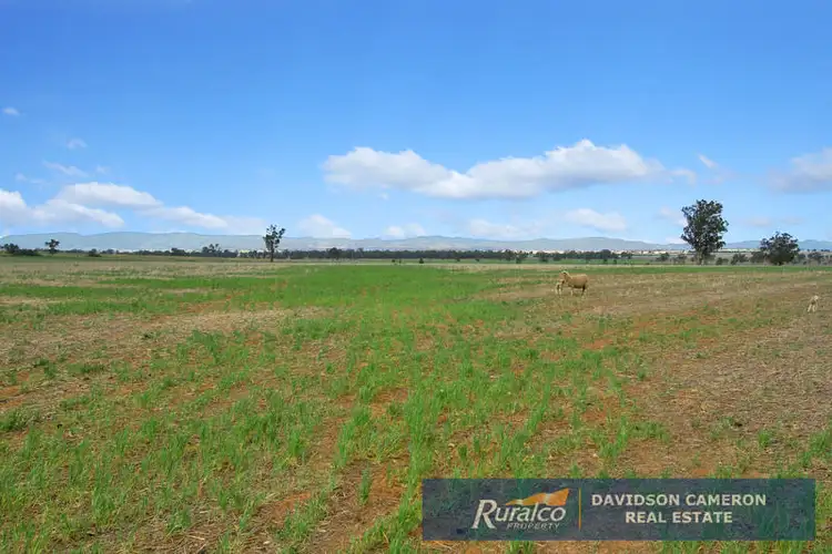 Seventh view of Homely rural property listing, Canberra 982 Warral Bithramere Road, Tamworth NSW 2340