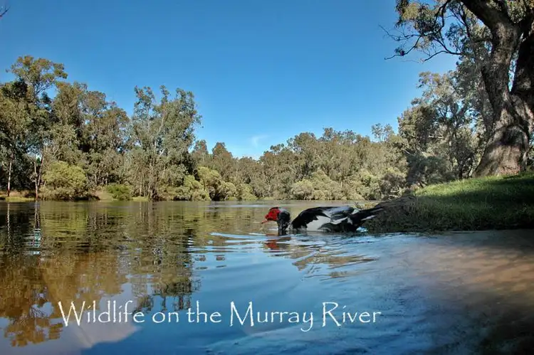 Sixth view of Homely land listing, Lot 974 Ludlow Loop, Pinjarra WA 6208