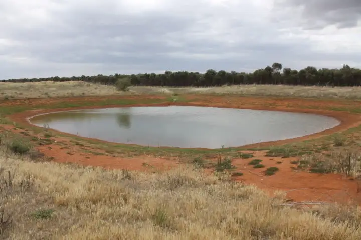 Fifth view of Homely rural property listing, - 'Kolkibertoo', West Wyalong NSW 2671