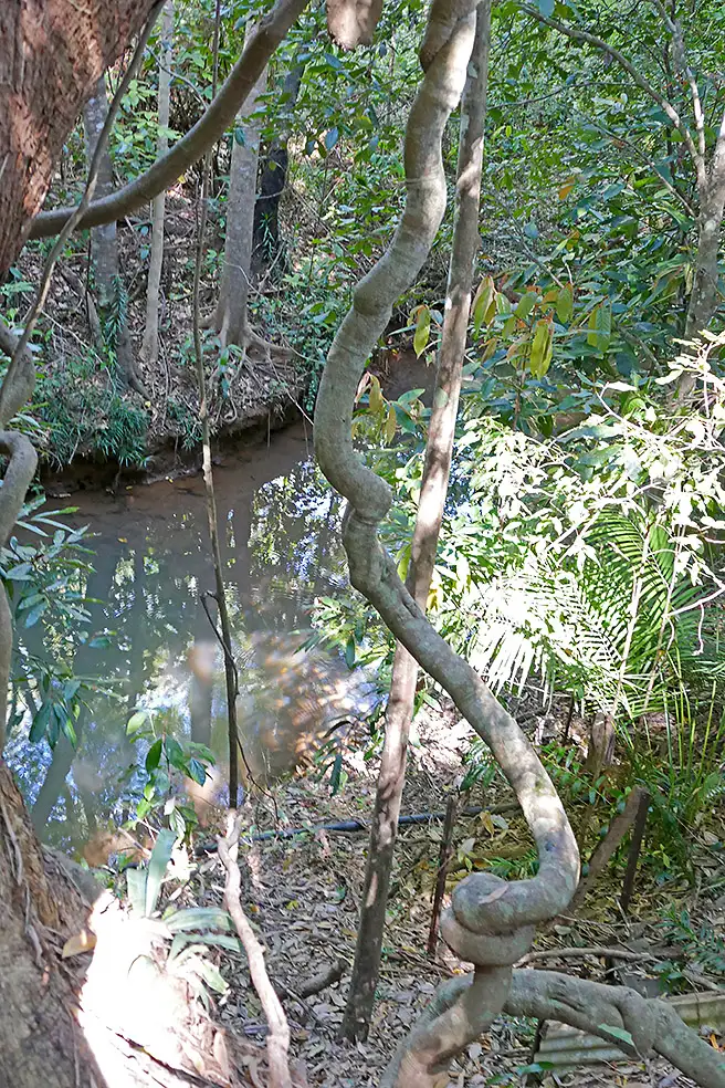 Fourth view of Homely house listing, 117 McLean Road, Lake Eacham QLD 4884