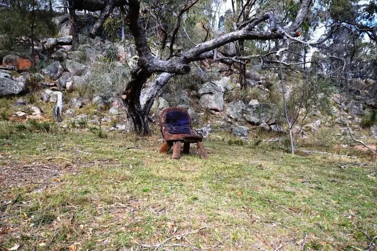 Seventh view of Homely rural property listing, 496 Ridge Road, Mudgee NSW 2850