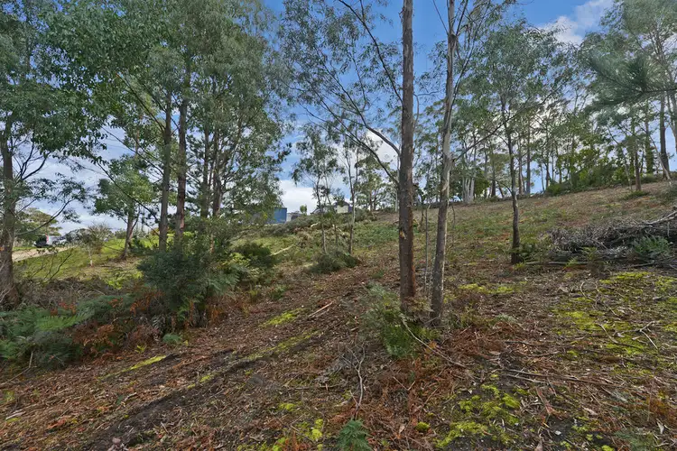 Fifth view of Homely land listing, 20 Chuter Street, Deep Bay TAS 7112