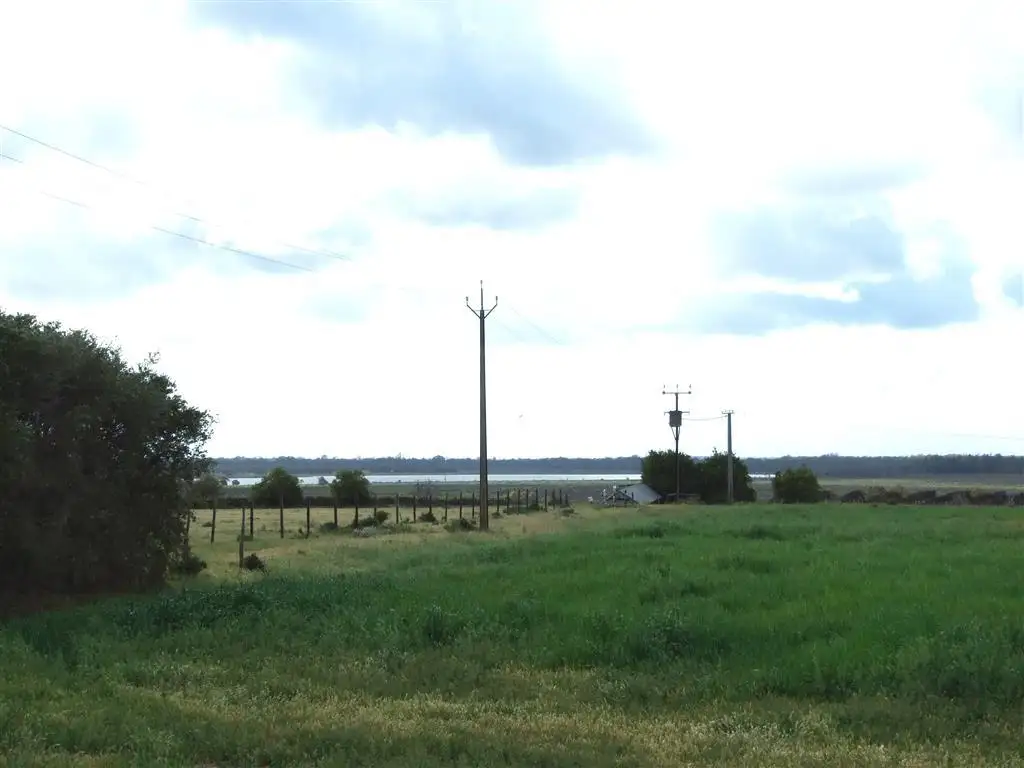 Main view of Homely land listing, Section 1564 Lower Winkie Rd via, Berri SA 5343