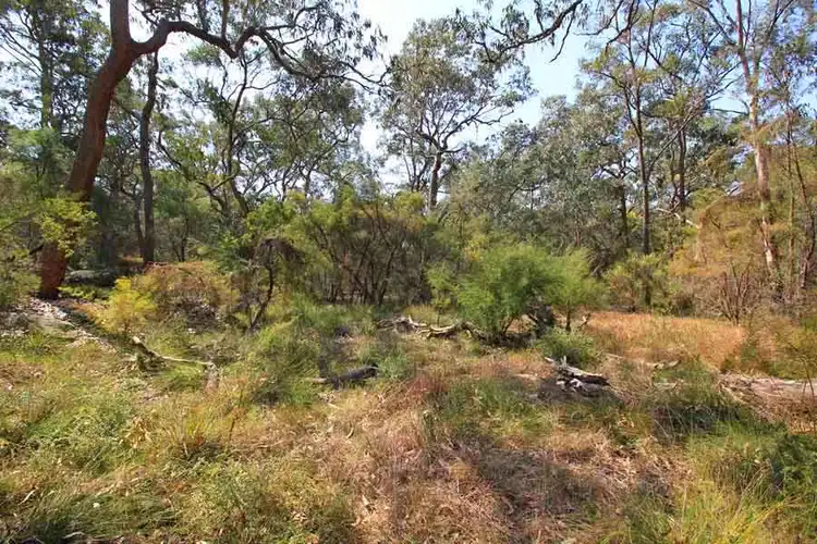 Second view of Homely land listing, 629-643 Halcrows Road, Cattai NSW 2756