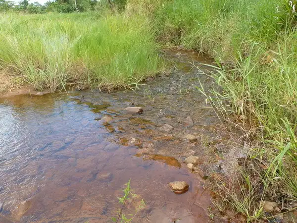 Sixth view of Homely rural property listing, Address available on request