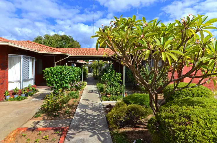 Main view of Homely unit listing, 14/37 Hayes Street, Bunbury WA 6230