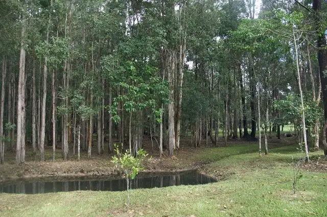 Sixth view of Homely land listing, 9 Crab Apple Court, Black Mountain QLD 4563