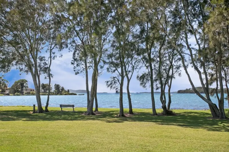 Main view of Homely house listing, 16 Tanilba Avenue, Tanilba Bay NSW 2319