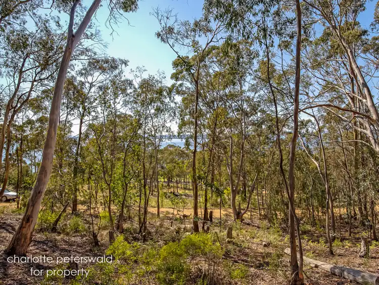 Fourth view of Homely land listing, 305 Tinderbox Road, Tinderbox TAS 7054