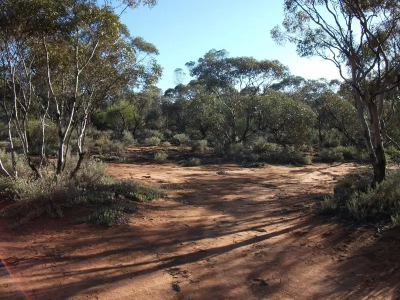 Main view of Homely rural property listing, Section 544 O'Callaghan Road, Monash SA 5342
