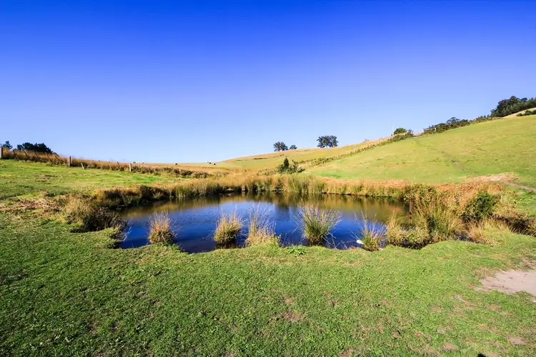 Sixth view of Homely house listing, 191 Lottah Road, Goulds Country TAS 7216