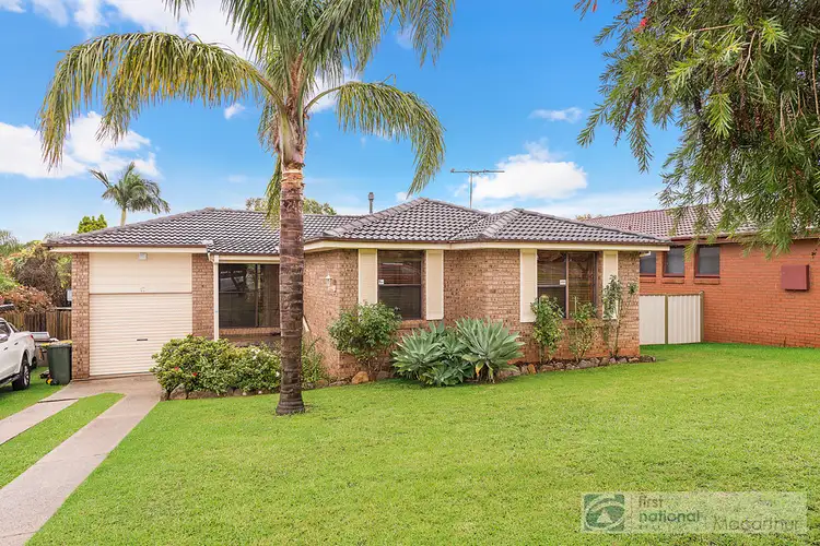 17 Hewitt Place, Minto NSW 2566