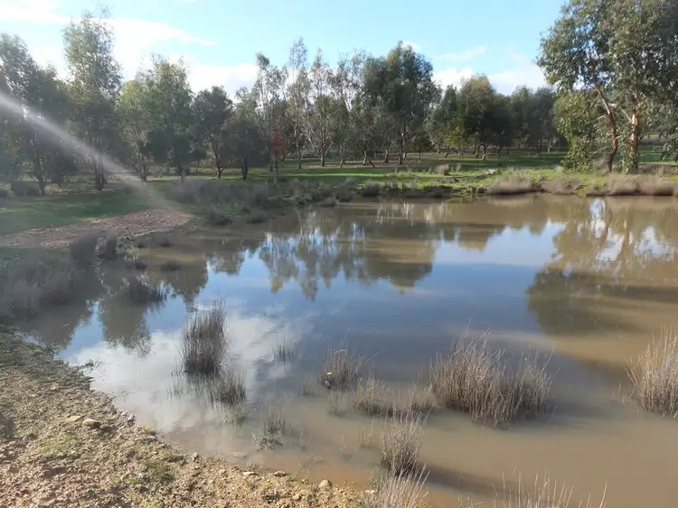 Third view of Homely rural property listing, 4931 Stawell-Avoca Road, Frenchmans VIC 3381