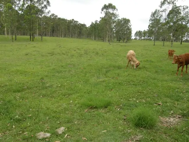 Second view of Homely rural property listing, 342 Four Mile Lane, Clarenza NSW 2460