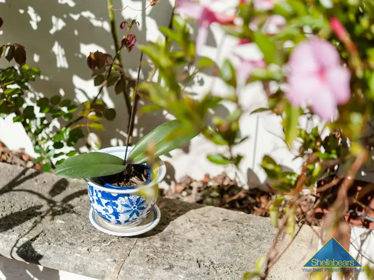 Fifth view of Homely house listing, 46 Napier Street, Cottesloe WA 6011