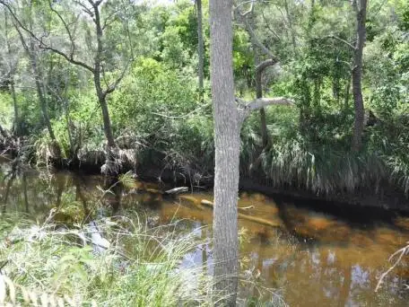 Second view of Homely rural property listing, 194 Mackays Road, Bondoola QLD 4703